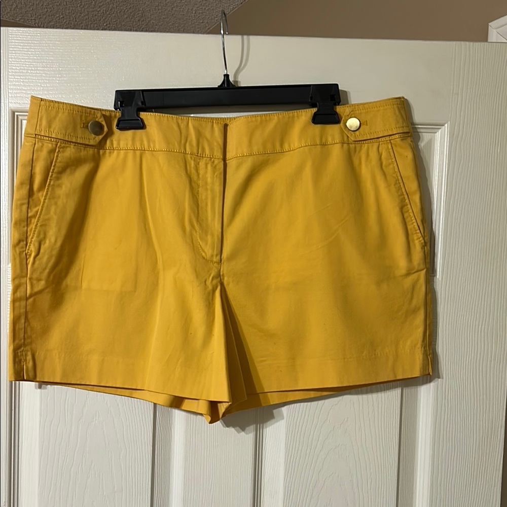 LOFT Shorts - Picture 2 of 7